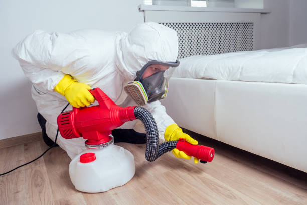 Best Wasp Removal Services  in Tyler, MN