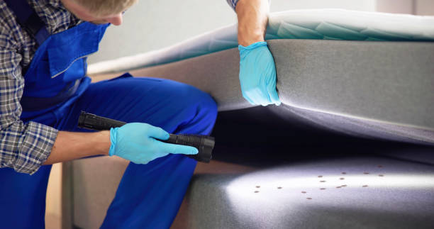 Best Pest Prevention Services  in Tyler, MN