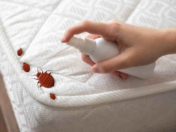 Best Insect Control  in Tyler, MN