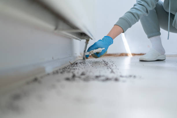 Best Emergency Pest Control  in Tyler, MN