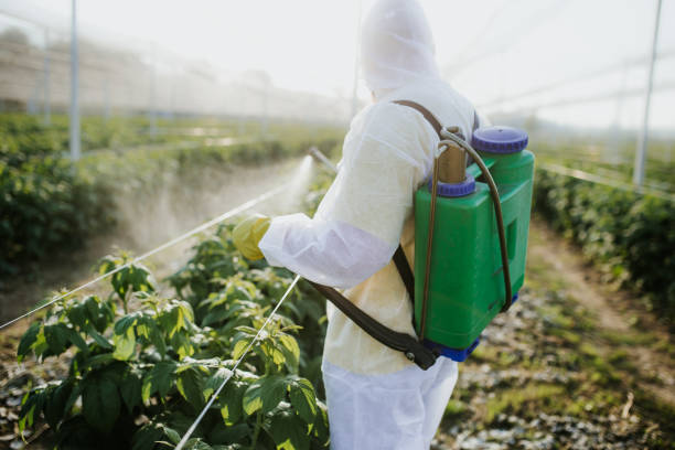 Best Best Pest Control Companies  in Tyler, MN